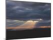 Premium Photographic Print