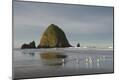 Premium Photographic Print