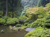 The Strolling Pond with Moon Bridge in the Japanese Garden, Portland, Oregon, USA-Greg Probst-Photographic Print
