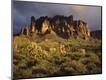 Photographic Print