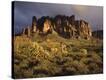 Stretched Canvas Print