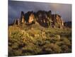 Photographic Print