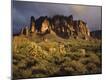 Premium Photographic Print