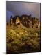 Premium Photographic Print