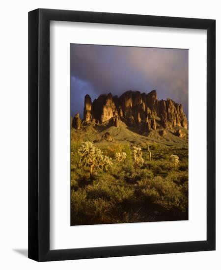 Photographic Print, , large