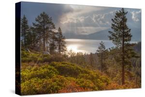 Lake Tahoe Stretched Canvas Prints Art Prints Paintings Posters Framed Wall Artwork For Sale Art Com