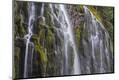 Premium Photographic Print
