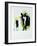 Gregarious-Joshua Schicker-Framed Giclee Print