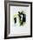 Gregarious-Joshua Schicker-Framed Giclee Print