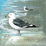 Sea Birds II-Gregory Gorham-Art Print