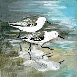 Sea Birds II-Gregory Gorham-Art Print