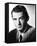 Gregory Peck-null-Framed Stretched Canvas