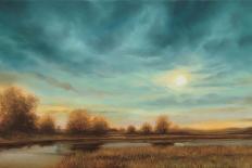 Tranquil Radiance I-Gregory Williams-Art Print