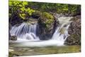 Premium Photographic Print