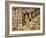 Grenache Vines in Row and Sign at La Truffe De Ventoux Truffle Farm, Vaucluse, Rhone-Per Karlsson-Framed Photographic Print