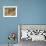 Grenache Vines in Row and Sign at La Truffe De Ventoux Truffle Farm, Vaucluse, Rhone-Per Karlsson-Framed Photographic Print displayed on a wall