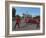 Grenadier Guards March to Wellington Barracks after Changing the Guard Ceremony, London, England-Walter Rawlings-Framed Photographic Print