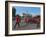 Grenadier Guards March to Wellington Barracks after Changing the Guard Ceremony, London, England-Walter Rawlings-Framed Photographic Print