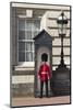 Grenadier Guardsman Outside Buckingham Palace, London, England, United Kingdom, Europe-Stuart Black-Mounted Photographic Print