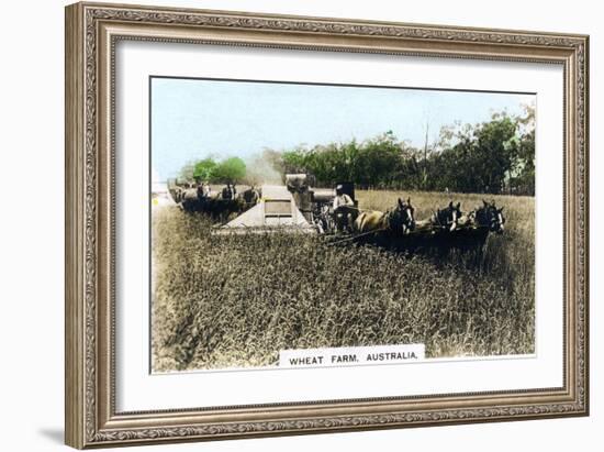 Grenfell Wheat Farm, Australia, C1920S-null-Framed Giclee Print