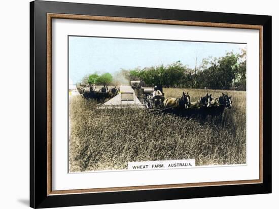 Grenfell Wheat Farm, Australia, C1920S-null-Framed Giclee Print