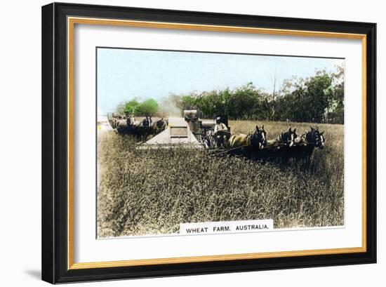 Grenfell Wheat Farm, Australia, C1920S-null-Framed Giclee Print