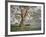 Gresford Gum 2-John Bradley-Framed Giclee Print