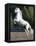 Grey Andalusian Stallion Rearing on Hind Legs, Ojai, California, USA-Carol Walker-Framed Premier Image Canvas