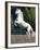 Grey Andalusian Stallion Rearing on Hind Legs, Ojai, California, USA-Carol Walker-Framed Photographic Print