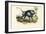 Grey Baboon, 1863-79-Raimundo Petraroja-Framed Giclee Print
