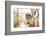 Grey Bamboo Lemur (Hapalemur), Lemur Island, Andasibe, Eastern Madagascar, Africa-Matthew Williams-Ellis-Framed Photographic Print