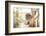 Grey Bamboo Lemur (Hapalemur), Lemur Island, Andasibe, Eastern Madagascar, Africa-Matthew Williams-Ellis-Framed Photographic Print