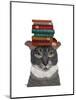 Grey Cat with Books on Head-Fab Funky-Mounted Art Print