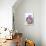 Grey Dog in Basket-MAKIKO-Giclee Print displayed on a wall