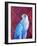 Grey falcon-Jane Tattersfield-Framed Giclee Print