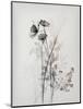 Grey Flowers II-Lana Kristiansen-Mounted Art Print