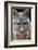 Grey Fox (Urocyon Cinereoargenteus) Licking Nose, Captive, Mexico City-Claudio Contreras-Framed Photographic Print