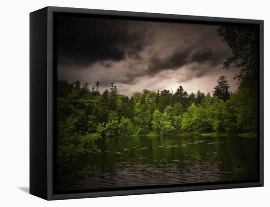 Grey-Green-Philippe Sainte-Laudy-Framed Premier Image Canvas