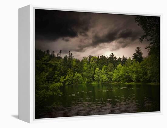 Grey-Green-Philippe Sainte-Laudy-Framed Premier Image Canvas