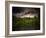 Grey-Green-Philippe Sainte-Laudy-Framed Photographic Print