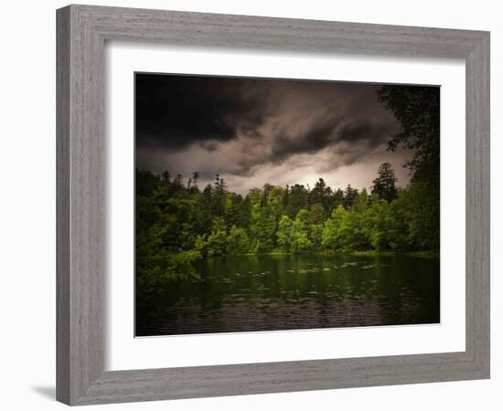 Grey-Green-Philippe Sainte-Laudy-Framed Photographic Print