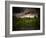 Grey-Green-Philippe Sainte-Laudy-Framed Photographic Print