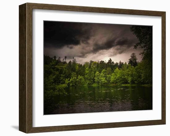 Grey-Green-Philippe Sainte-Laudy-Framed Photographic Print