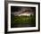 Grey-Green-Philippe Sainte-Laudy-Framed Photographic Print