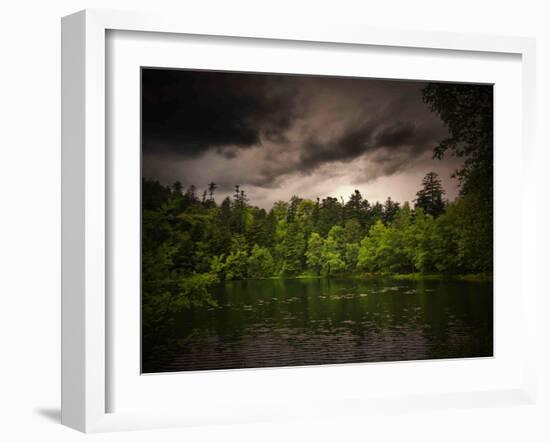 Grey-Green-Philippe Sainte-Laudy-Framed Photographic Print