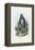 Grey Heron, 1863-79-Raimundo Petraroja-Framed Premier Image Canvas