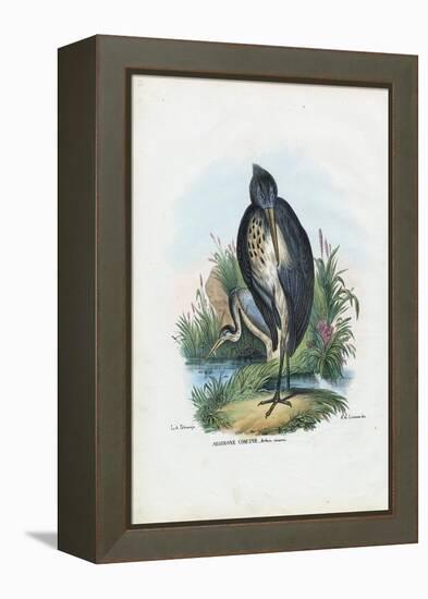 Grey Heron, 1863-79-Raimundo Petraroja-Framed Premier Image Canvas