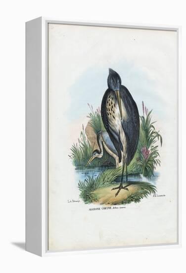 Grey Heron, 1863-79-Raimundo Petraroja-Framed Premier Image Canvas