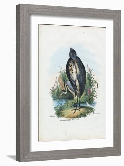 Grey Heron, 1863-79-Raimundo Petraroja-Framed Giclee Print