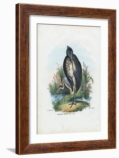 Grey Heron, 1863-79-Raimundo Petraroja-Framed Giclee Print